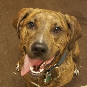 Meet your Posher, Lynn